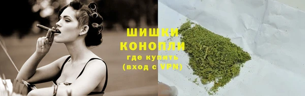 прущие грибы Белоозёрский